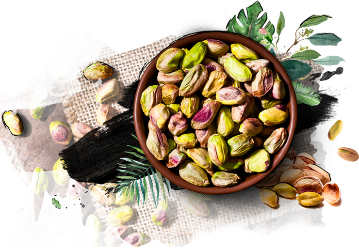 درای ویتی - پسته